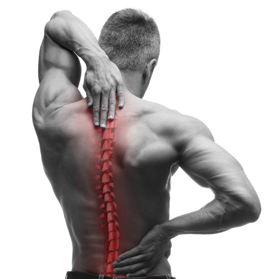 Red back pain